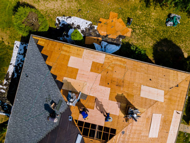 Best Roof Maintenance Services  in Webster, SD