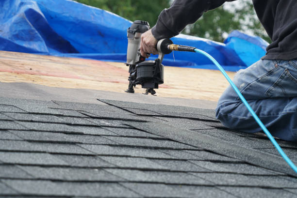 Best Residential Roofing Contractor  in Webster, SD