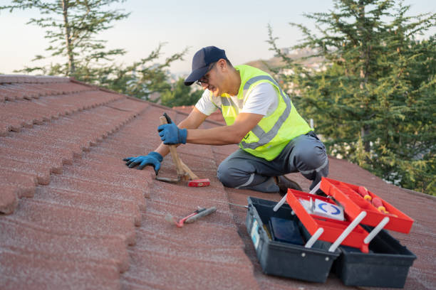 Best New Roof Installation  in Webster, SD