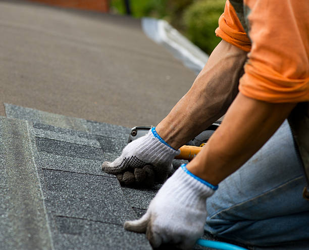 Best Commercial Roofing Services  in Webster, SD