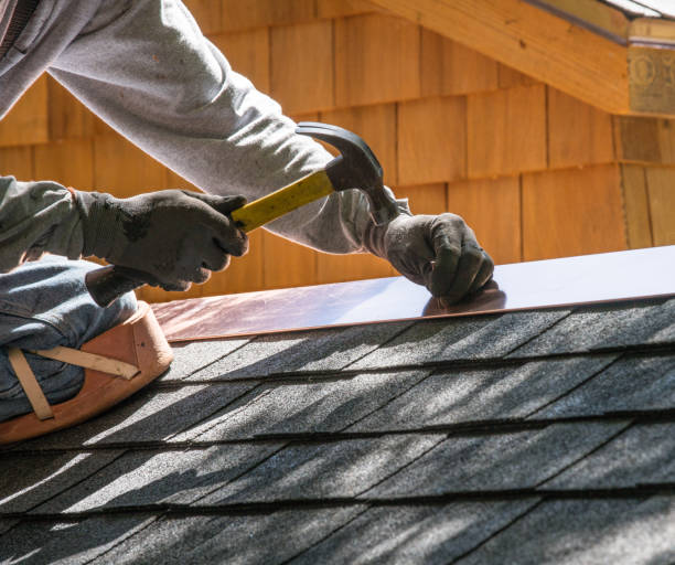 Best Shingle Roofing Installation  in Webster, SD